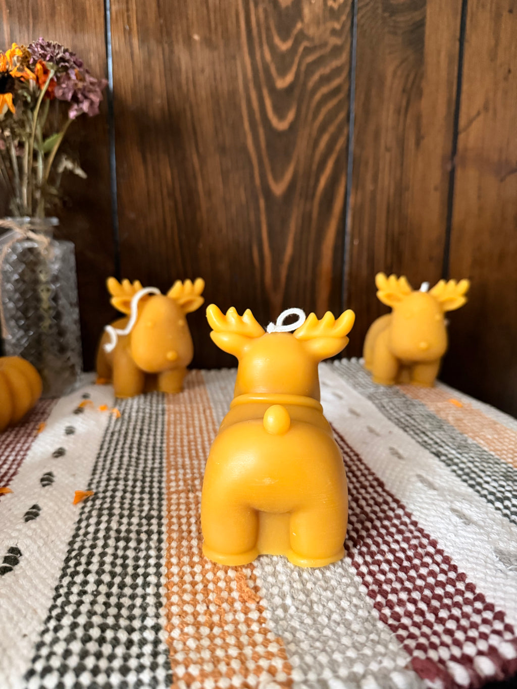 Reindeer