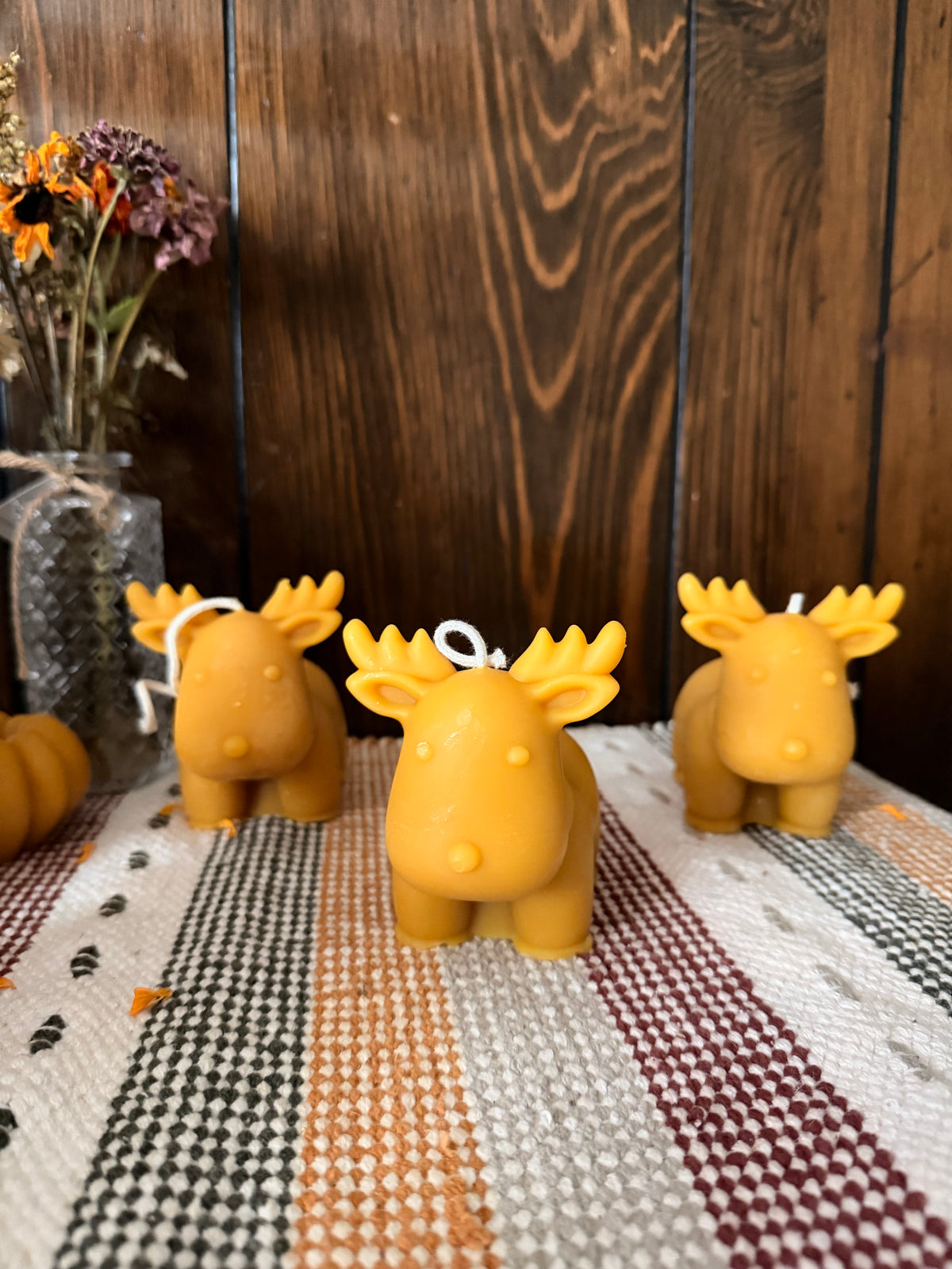 Reindeer