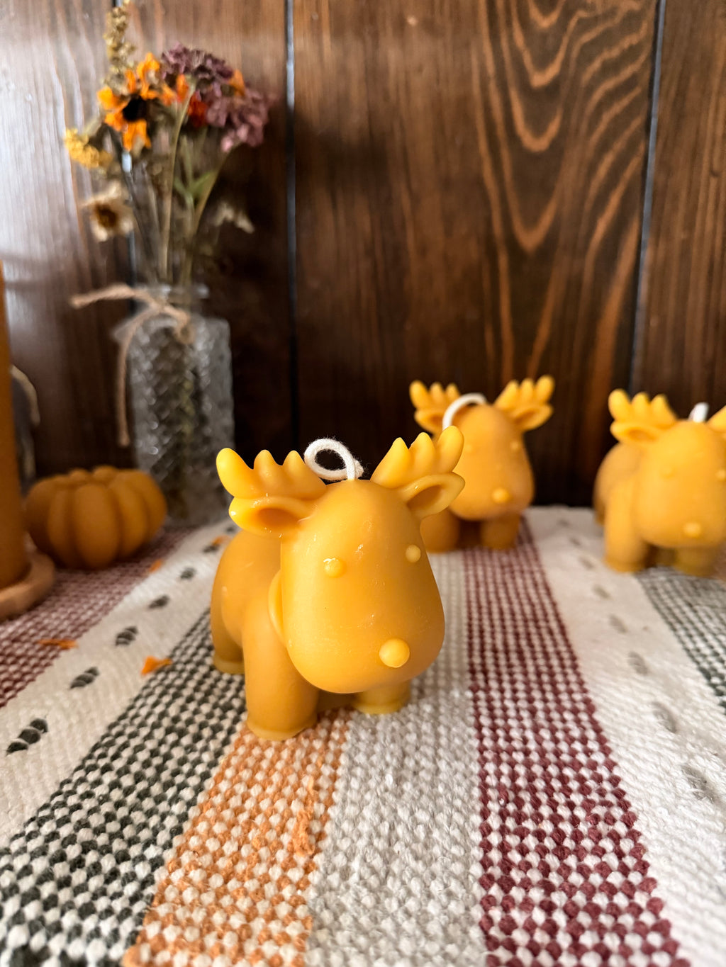 Reindeer