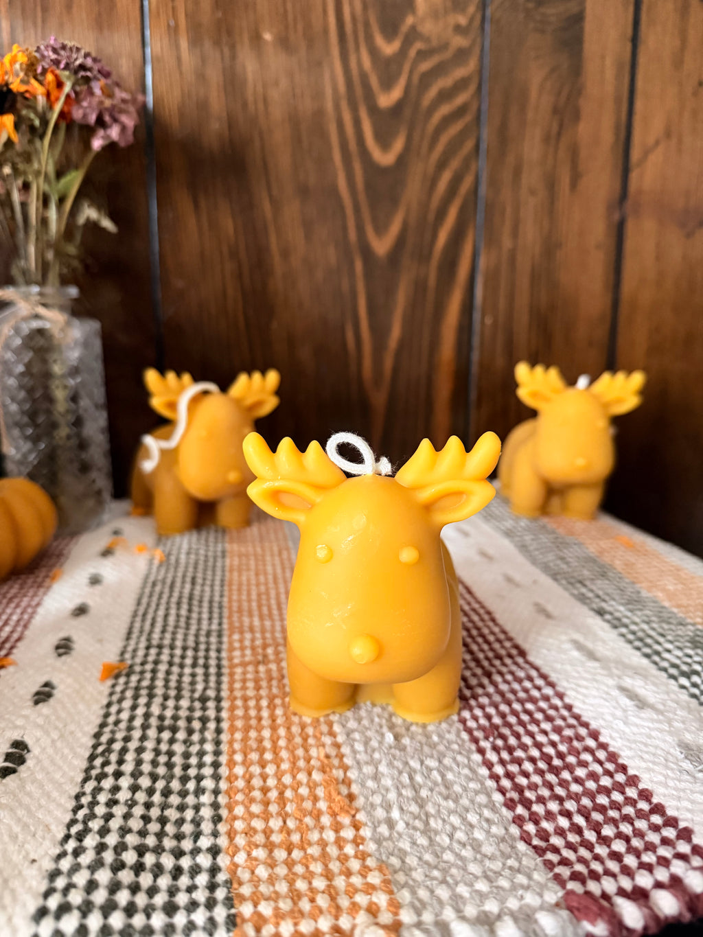Reindeer