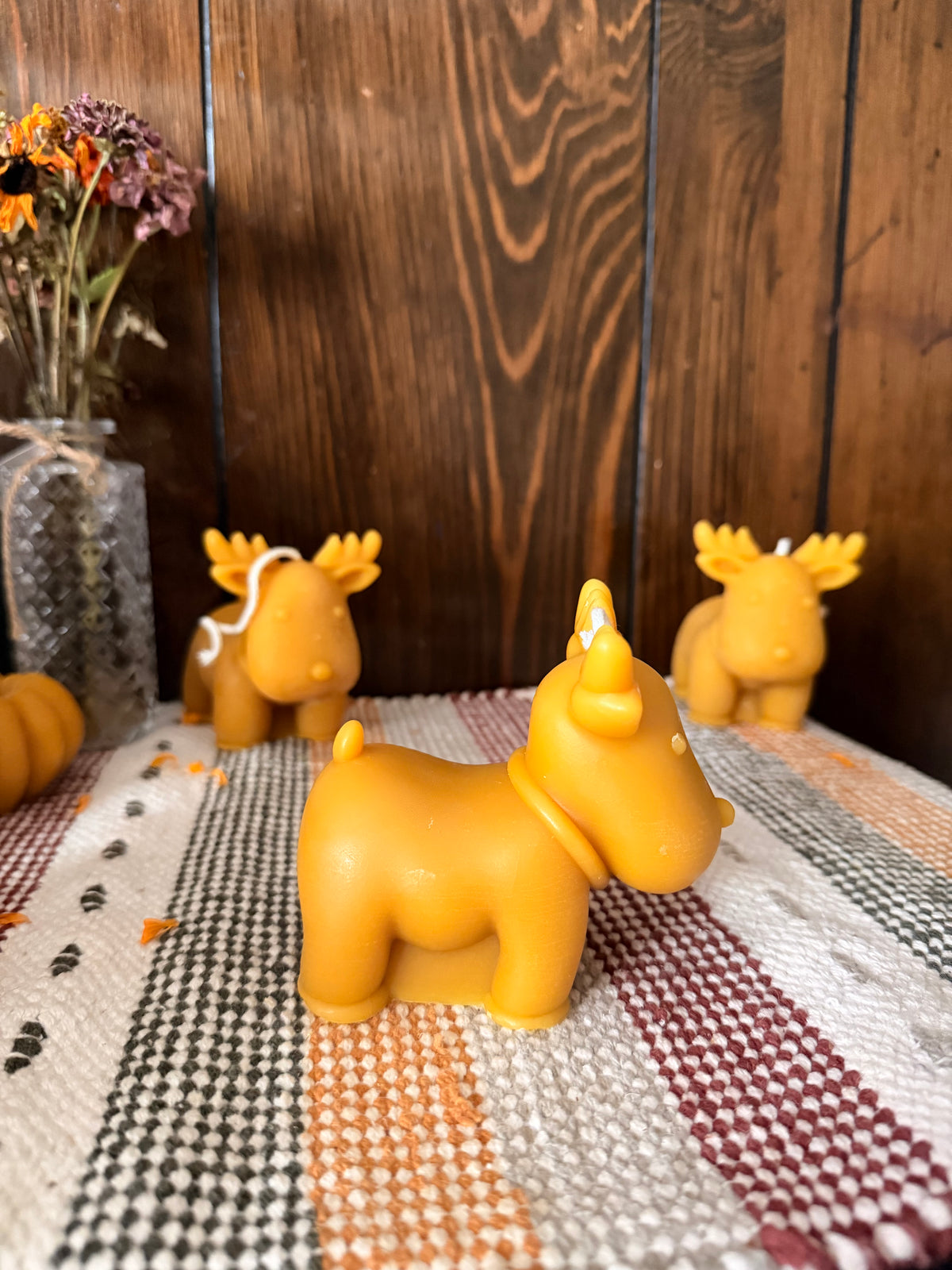 Reindeer