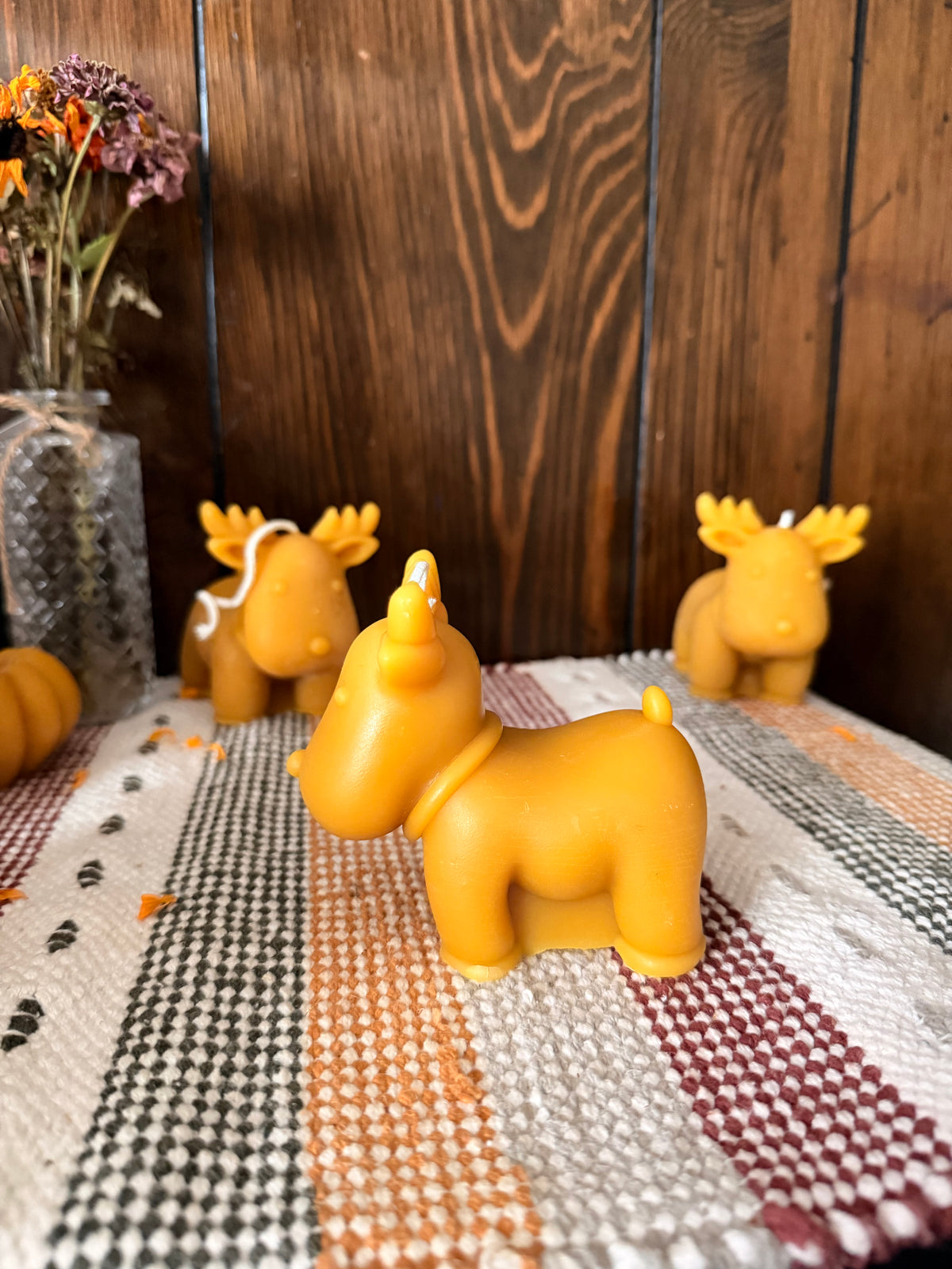 Reindeer